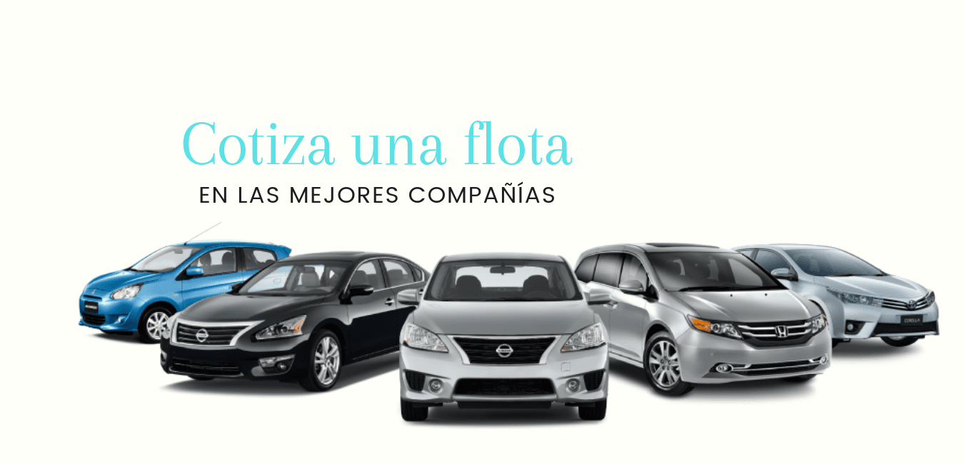 Autocompara Cotizador De Seguros De Auto Ms Rpido